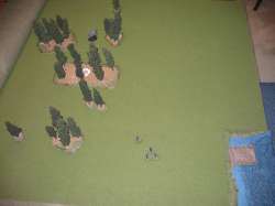 Turn 4