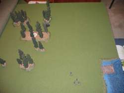 Turn 6: Overview