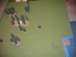 Turn 7