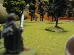 Peering through the trees