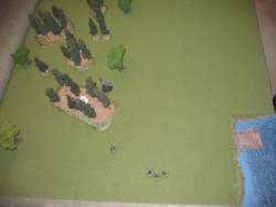Turn 7