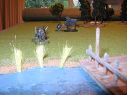 Turn 8: Frodo's eye view