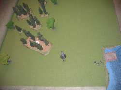 Turn 9 Overview