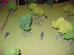 Turn 5