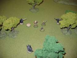 Turn 6