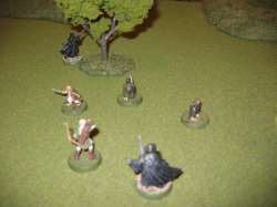 Turn 7