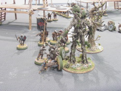 Turn 3 Treebeard