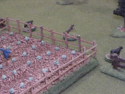 Setup, Closeup