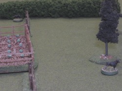 Turn 2, Backfield