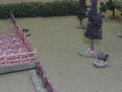 Turn 3, Backfield