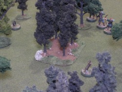 Turn 4, North