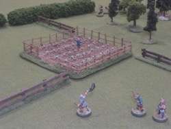 Turn 7