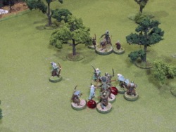 Turn 5